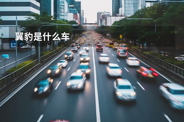 翼豹是什么车