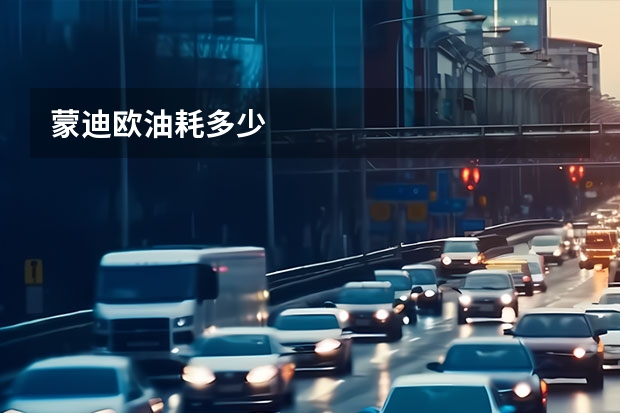 蒙迪欧油耗多少