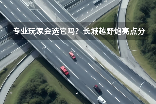 专业玩家会选它吗？长城越野炮亮点分析
