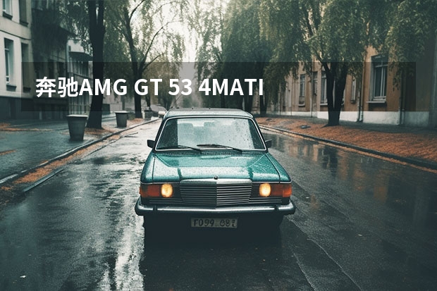 奔驰AMG GT 53 4MATIC+搭载3.0T L6动力，给你秋名山车神般的体验（全新奔驰AMG GLE 53 4MATIC+轿跑SUV上市 百公里加速5.5s）
