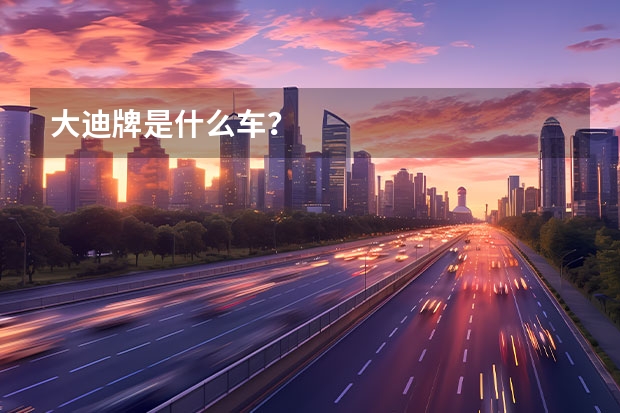 大迪牌是什么车？