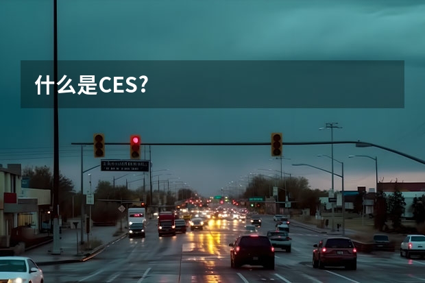什么是CES?
