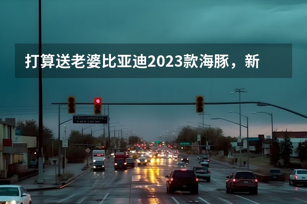打算送老婆比亚迪2023款海豚，新款都有哪些配色？