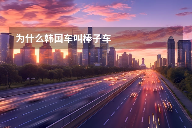 为什么韩国车叫棒子车