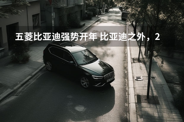 五菱/比亚迪强势开年 比亚迪之外，2022年多个新玩家将崛起