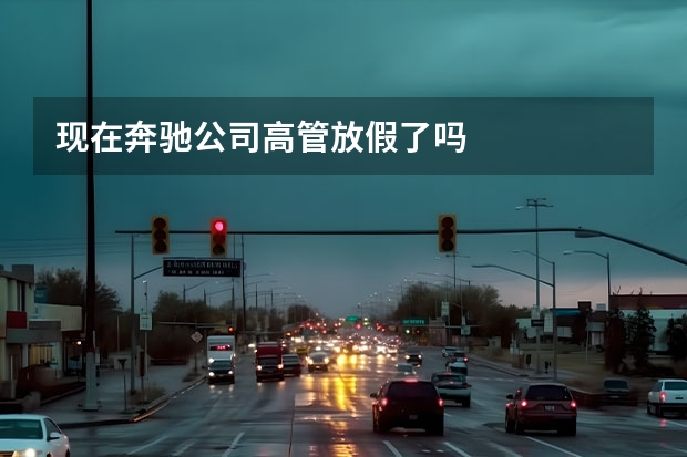 现在奔驰公司高管放假了吗