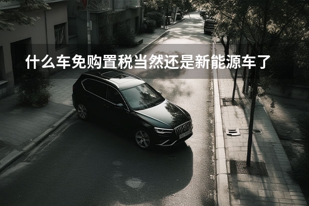 什么车免购置税当然还是新能源车了