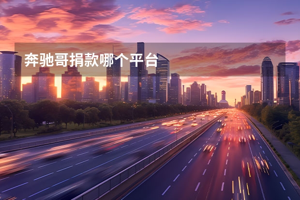 奔驰哥捐款哪个平台