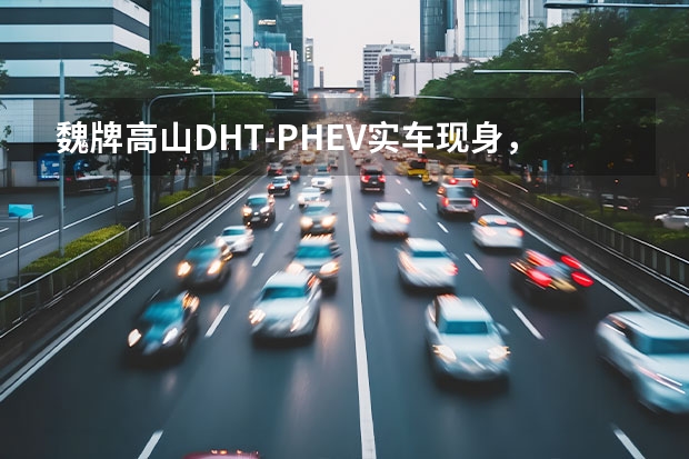 魏牌高山DHT-PHEV实车现身，配双层车载冰箱，颜值高 新车插班生 ｜ “理想刺客”蓝山破万，魏牌有救了？ 质量硬不硬，售后保养见真章 魏牌蓝山保养体验