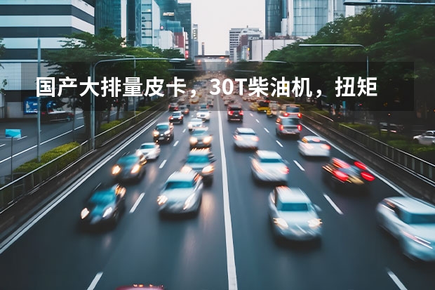 国产大排量皮卡，3.0T柴油机，扭矩达430NM，和长城炮比如何？