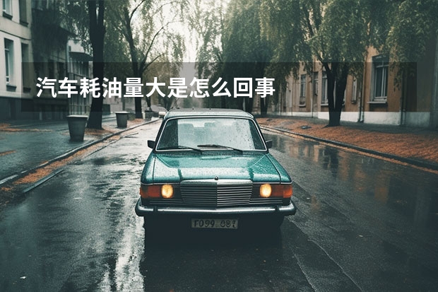 汽车耗油量大是怎么回事