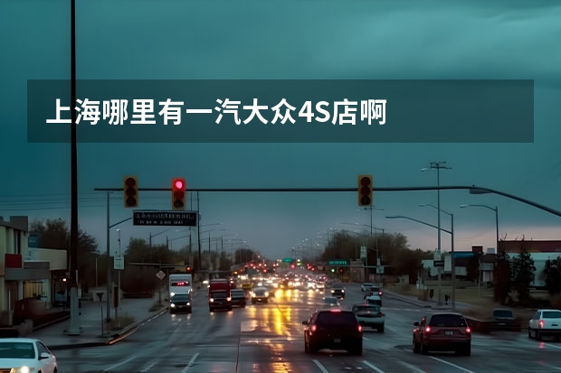 上海哪里有一汽大众4S店啊