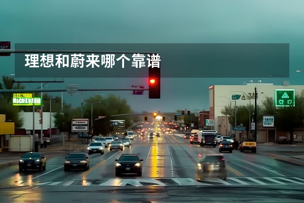 理想和蔚来哪个靠谱