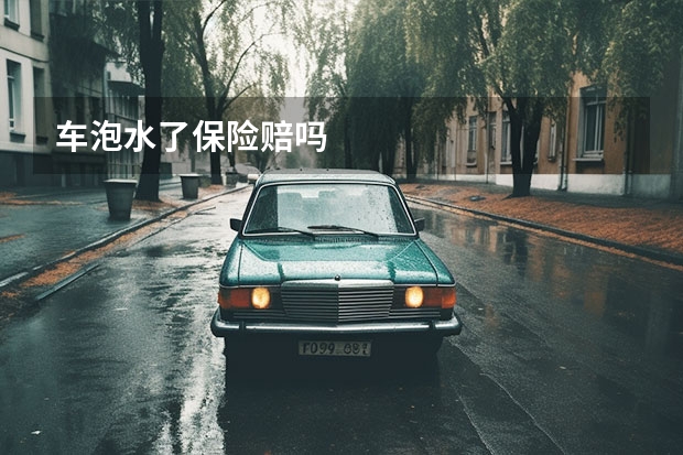车泡水了保险赔吗