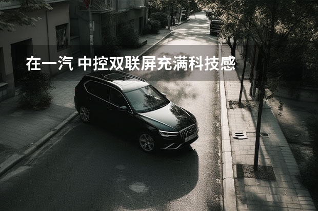 在一汽 中控双联屏充满科技感