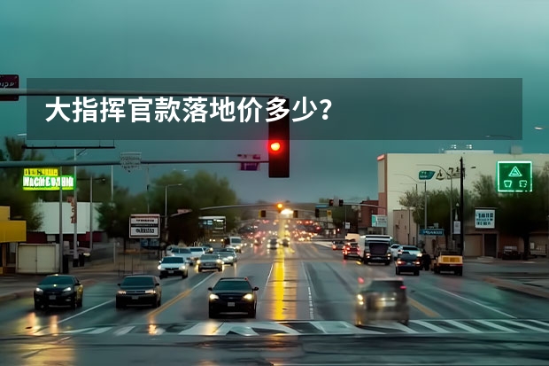 大指挥官款落地价多少？