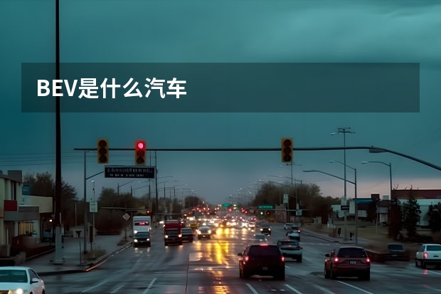 BEV是什么汽车