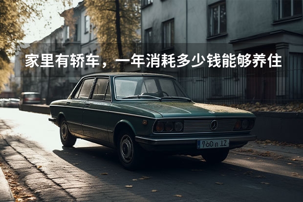 家里有轿车，一年消耗多少钱能够养住它？