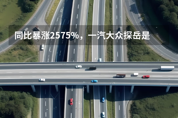同比暴涨257.5%，一汽大众探岳是款好车吗？值不值得入手？