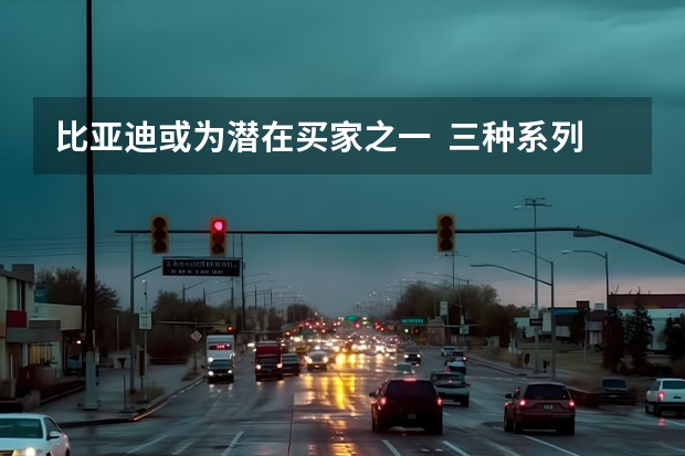 比亚迪或为潜在买家之一  三种系列/支持定制45种颜色