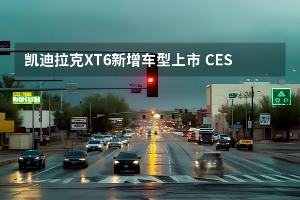 凯迪拉克XT6新增车型上市 CES
