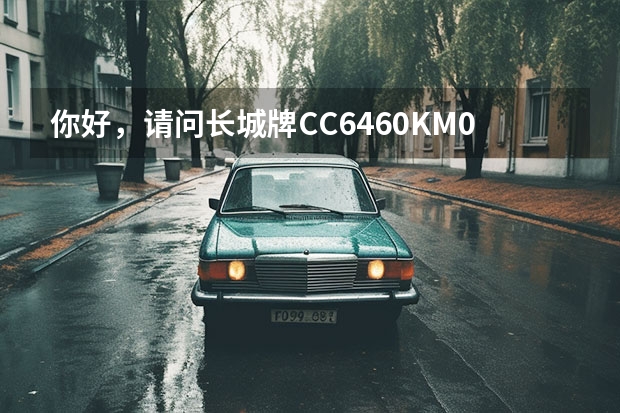 你好，请问长城牌CC6460KM07型号汽车议表盘右侧靠在里程表边上的红灯亮着该如何排除？