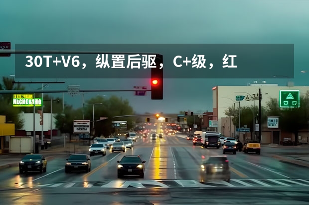 3.0T+V6，纵置后驱，C+级，红旗H9有着百万豪车气场（红旗H9全球首发  3.0T V6+纵置后驱的豪华标杆）