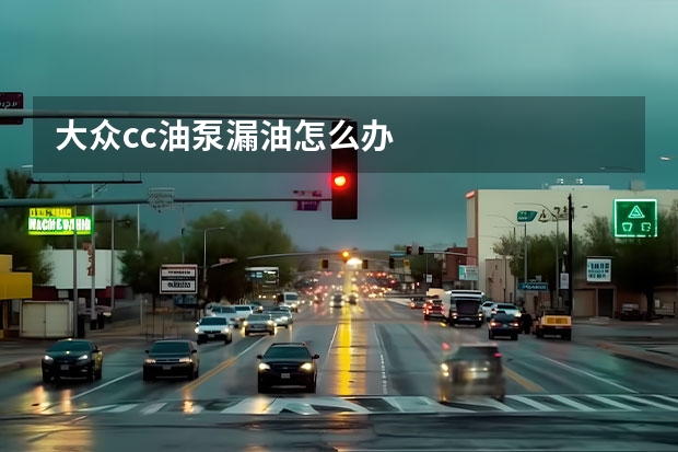 大众cc油泵漏油怎么办