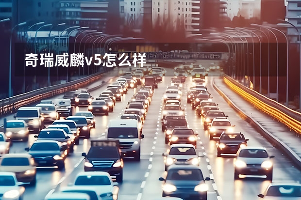 奇瑞威麟v5怎么样
