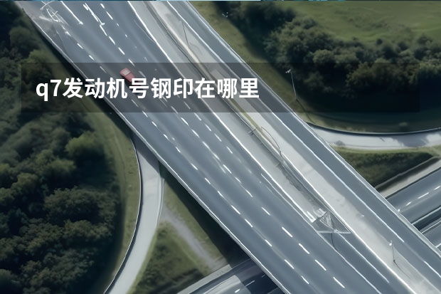 q7发动机号钢印在哪里