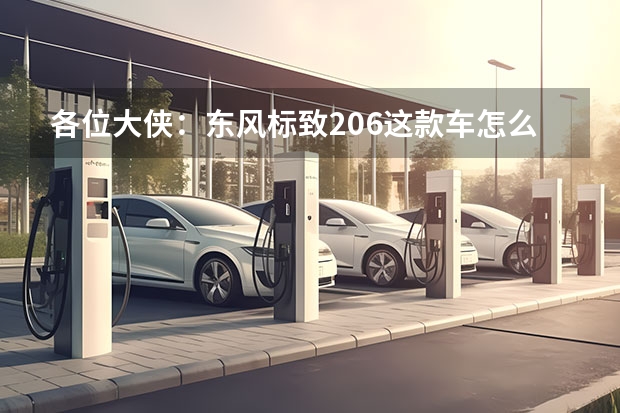 各位大侠:东风标致206这款车怎么样?请各方面介绍一下
