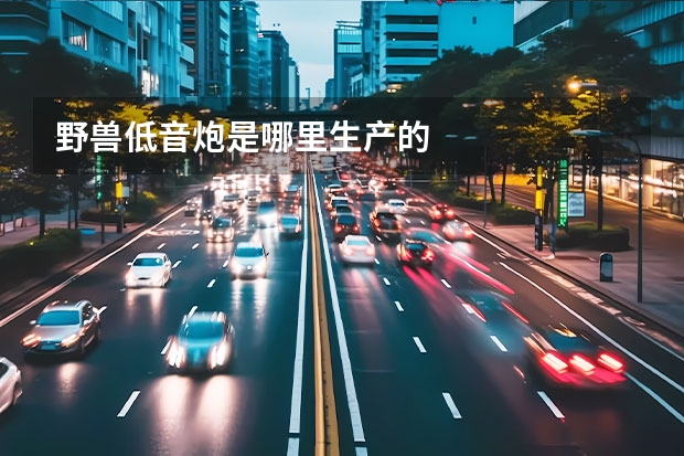 野兽低音炮是哪里生产的