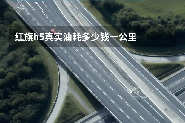 红旗h5真实油耗多少钱一公里