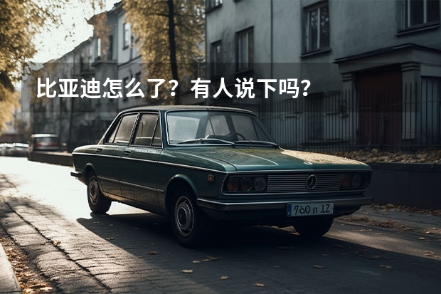 比亚迪怎么了？有人说下吗？