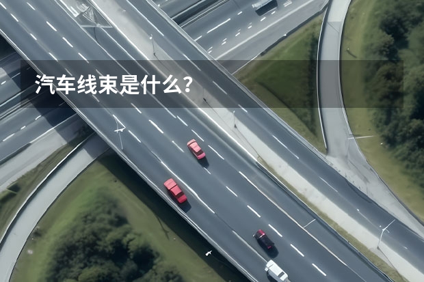 汽车线束是什么?