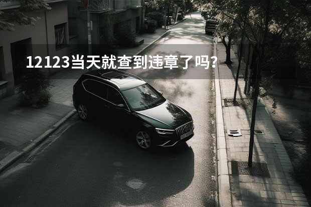 12123当天就查到违章了吗？