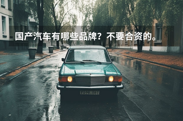 国产汽车有哪些品牌？不要合资的。