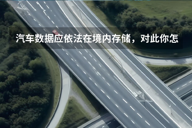 汽车数据应依法在境内存储，对此你怎么看呢?