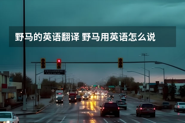 野马的英语翻译 野马用英语怎么说