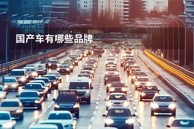 国产车有哪些品牌