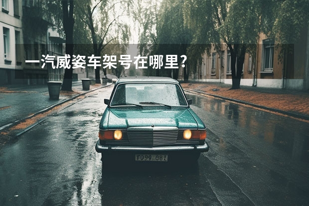 一汽威姿车架号在哪里?