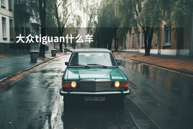 大众tiguan什么车