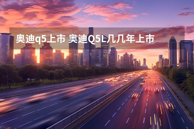 奥迪q5上市 奥迪Q5L几几年上市的