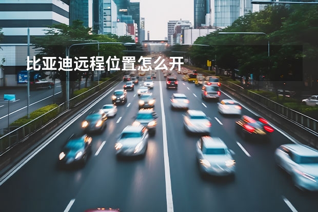 比亚迪远程位置怎么开
