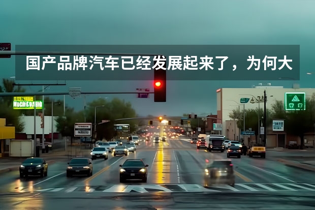 国产品牌汽车已经发展起来了，为何大多数人还买合资车？（买车选国产车还是合资车）