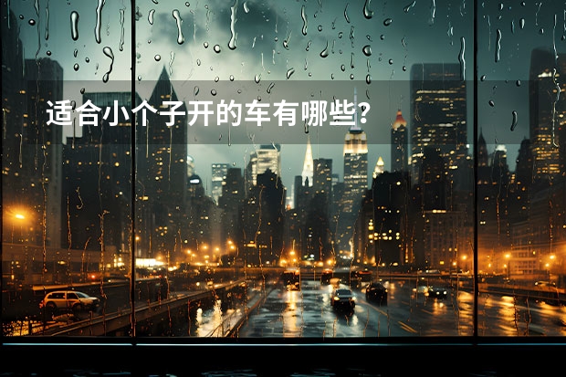 适合小个子开的车有哪些？