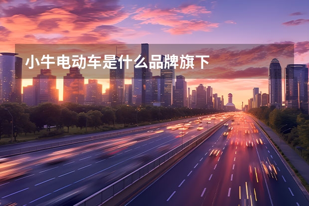 小牛电动车是什么品牌旗下