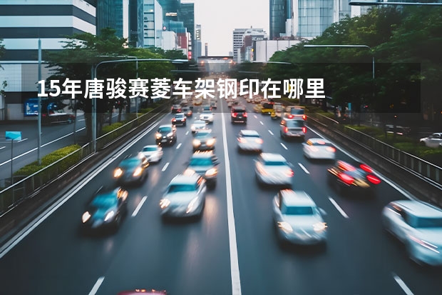 15年唐骏赛菱车架钢印在哪里