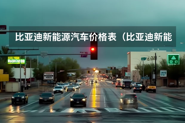 比亚迪新能源汽车价格表（比亚迪新能源车型及价格）