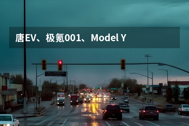 唐EV、极氪001、Model Y、福特电马，怎么选更好